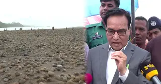 সাদা পাথর লুটে যারা জড়িত, সবাইকে আইনের আওতায় আনা হবে: জনপ্রশাসন সচিব